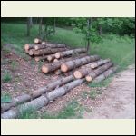 510haul.JPG 510haul.JPG