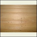 OakTimberworm.JPG OakTimberworm.JPG