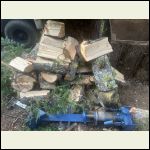 IMG_5133.jpeg IMG_5133.jpeg