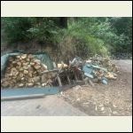 IMG_5280.jpeg IMG_5280.jpeg