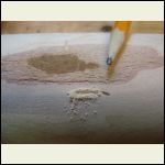 DogwoodPPB.JPG DogwoodPPB.JPG