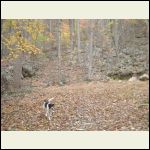 Quarry.JPG Quarry.JPG