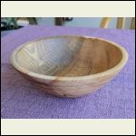 ponderosa pine ponderosa pine