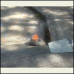 IMG_4989.jpeg