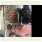 IMG_5635.jpeg