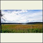 My pondering spot, ground blind