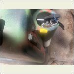 IMG_5295.jpeg