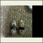 IMG_5300.jpeg