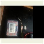 IMG_5336.jpeg