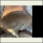 IMG_5339.jpeg