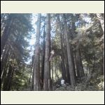IMG_5393.jpeg