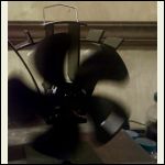 IMG_5426.jpeg