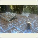 IMG_5492.jpeg IMG_5492.jpeg