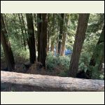 IMG_5547.jpeg