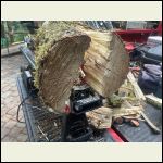 IMG_6131.jpeg IMG_6131.jpeg