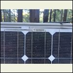 IMG_6100.jpeg IMG_6100.jpeg