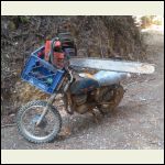 IMG_4056.jpeg IMG_4056.jpeg