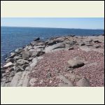 Gorgeous day at the beach collecting rocks