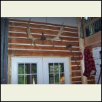 100_8867.JPG 100_8867.JPG