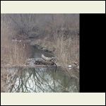 Photo taken off the bridge