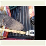 IMG_20260218_143459..jpg IMG_20260218_143459..jpg