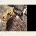 IMG_20260218_141332..jpg IMG_20260218_141332..jpg