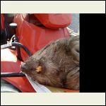 IMG_20260218_150145..jpg IMG_20260218_150145..jpg