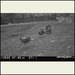 IMG_6547.jpeg IMG_6547.jpeg