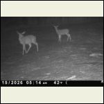 IMG_6546.jpeg IMG_6546.jpeg