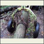 Log Arch