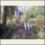 IMG_6935.jpeg