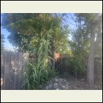 IMG_6982.jpeg