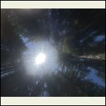 IMG_7207.jpeg