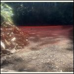 IMG_7424.jpeg