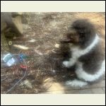 IMG_7618.jpeg