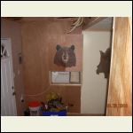 03_bear_shutters.JPG 03_bear_shutters.JPG