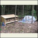 Temporary Wood Shed