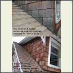 Effect of Clorox bleach on weathered shingles