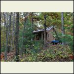 My cabin in the woods My cabin in the woods