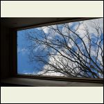 View out skylight above loft bed