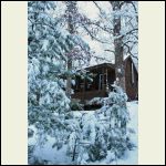 heavy snow blankets the cabin
