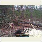 WP_000454.jpg WP_000454.jpg