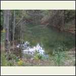 Pond just north of the house site.