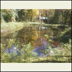 Pond 9/26/2011