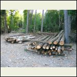 stacking poles for next year's trapper cabin