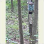 Repaired deer feeder