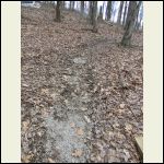 Muddy cabin path