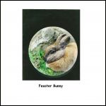 feaster_bunny_001.jp.jpg