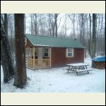 Shed in the woods