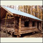 Cabin Supported with Squared up trees.